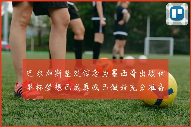巴尔加斯坚定信念为墨西哥出战世界杯梦想已成真我已做好充分准备