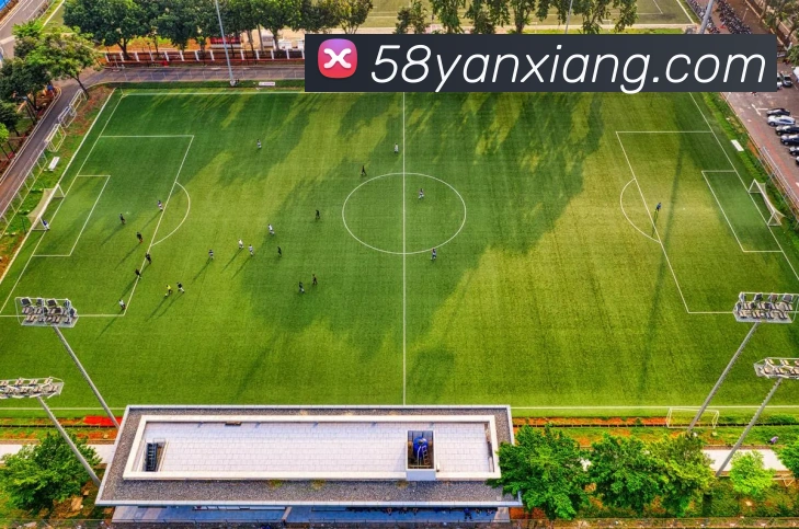 体育直播服务